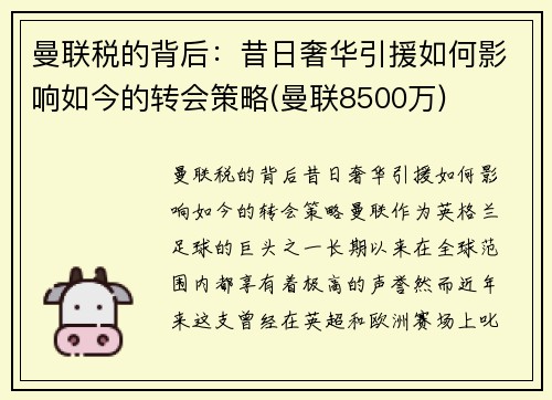 曼联税的背后：昔日奢华引援如何影响如今的转会策略(曼联8500万)
